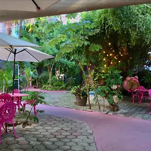 Santuario Playa (adults Only) Hotel